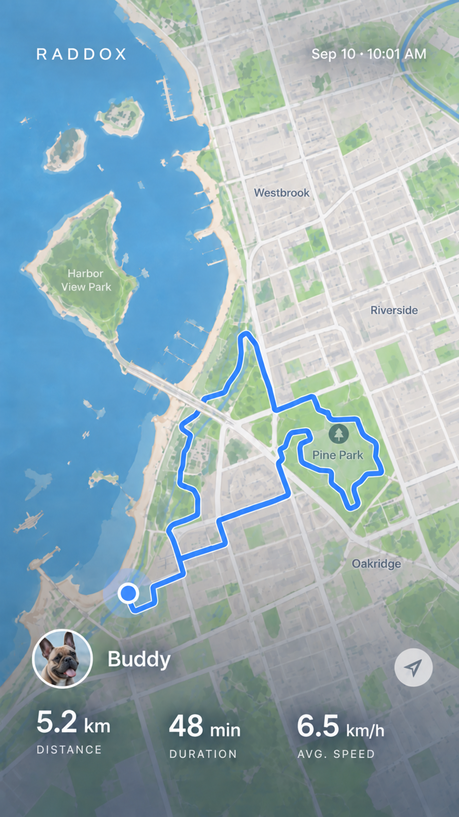 Milo's shared walk route through a waterfront park