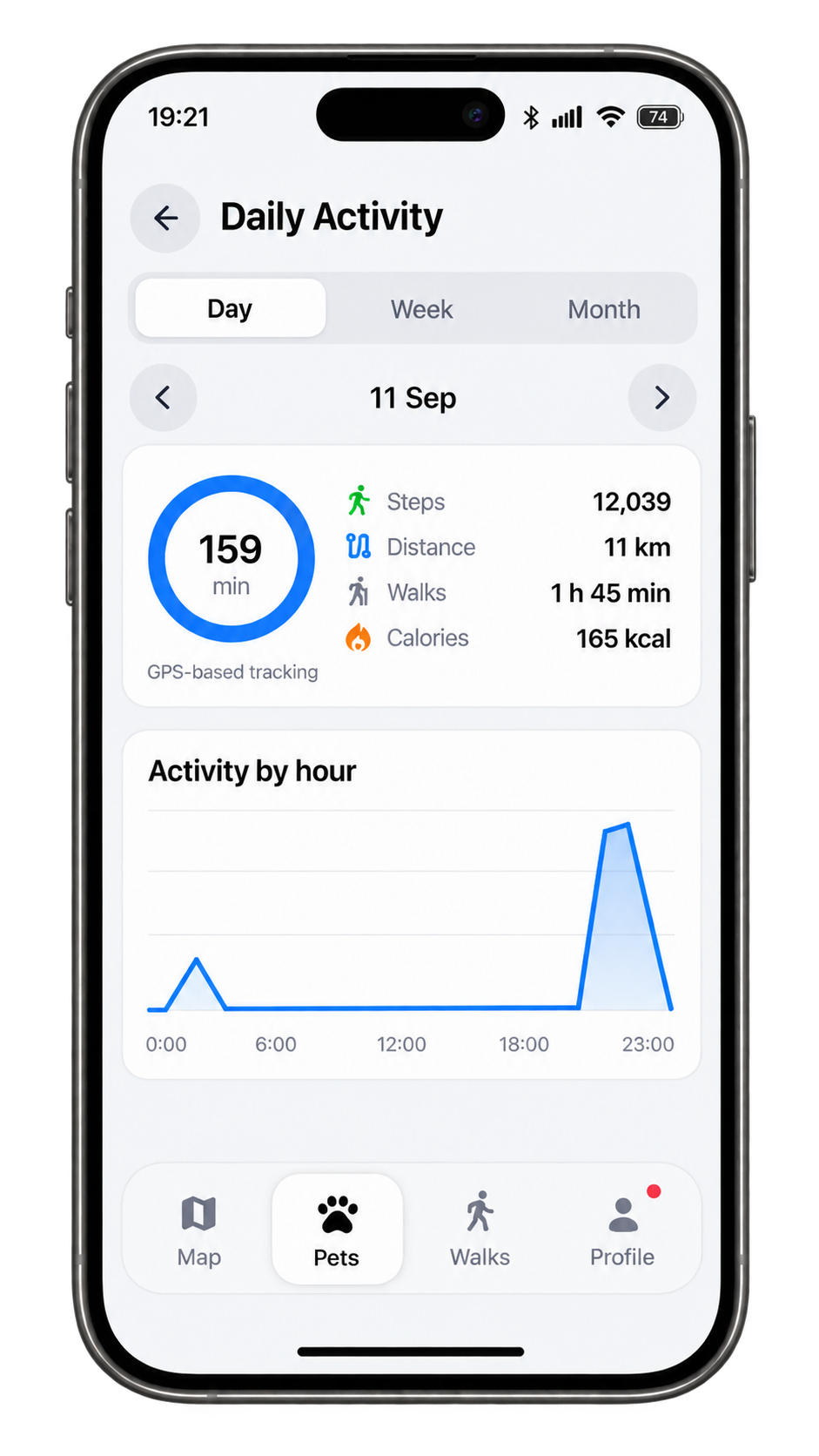 Raddox Daily Activity screen on an iPhone